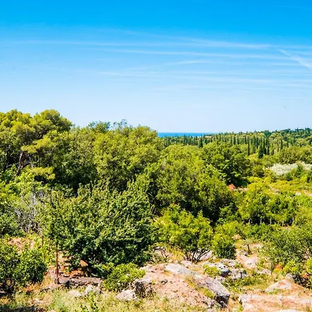 Apartment Le Petit 2